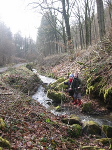 Le ruisseau de Biert