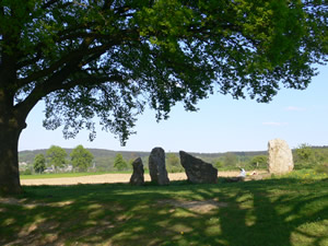 Les menhirs d'Oppagne