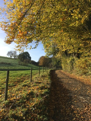 Promenade entre Méry et Aywaille