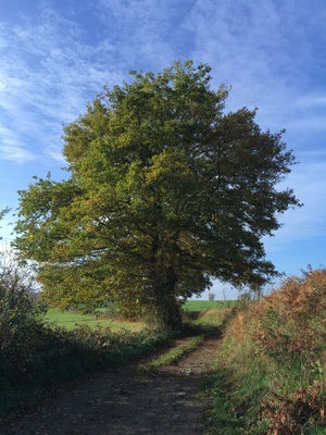 Promenade entre Méry et Aywaille