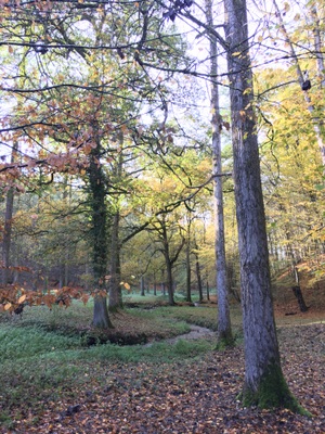 Promenade entre Méry et Aywaille