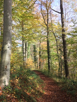 Promenade entre Méry et Aywaille