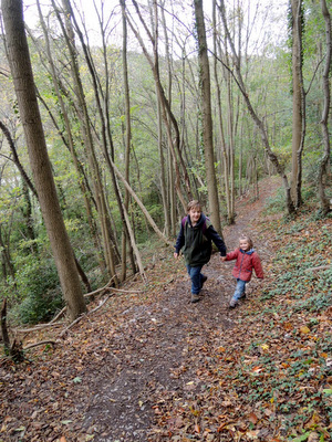 Promenade autour d'Anseremme