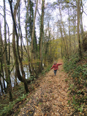 Promenade autour d'Anseremme