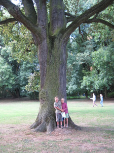 Arboretum de Monceau-sur-Sambre