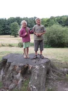 Arboretum de Monceau-sur-Sambre