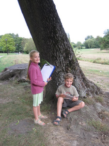 Arboretum de Monceau-sur-Sambre