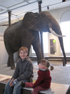 Museum des Sciences Naturelles