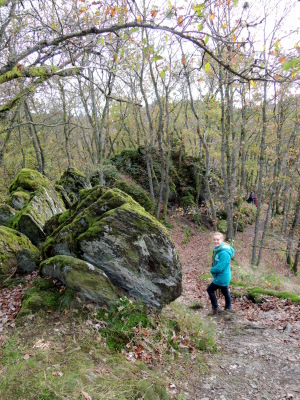 Tour du Lac de Nisramont