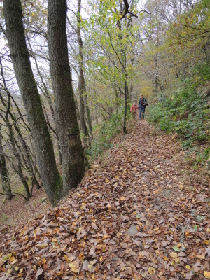 Tour du Lac de Nisramont