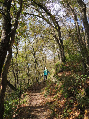 Tour du Lac de Nisramont