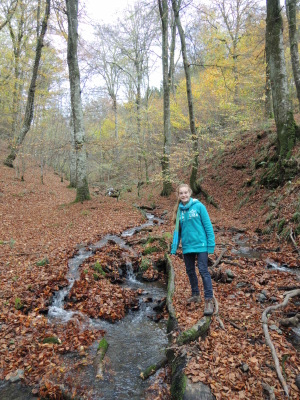 Tour du Lac de Nisramont