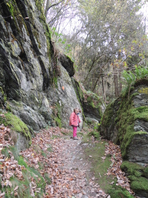 Tour du Lac de Nisramont