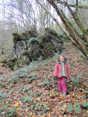 Tour du Lac de Nisramont