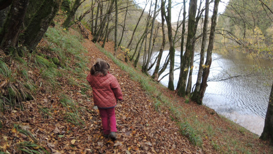 Tour du Lac de Nisramont