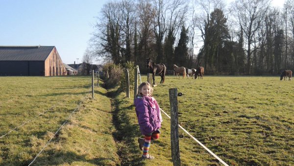 Promenade autour d'Ohey