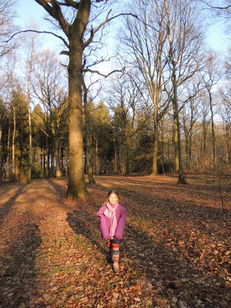 Promenade autour d'Ohey