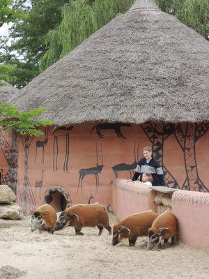 Pairi Daiza, le jardin des mondes