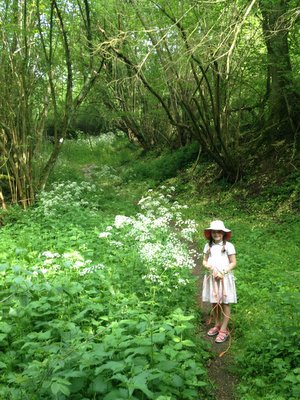 Promenade à Petit-Modave