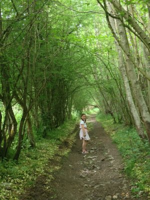 Promenade à Petit-Modave