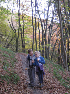 Promenade autour de Profondeville