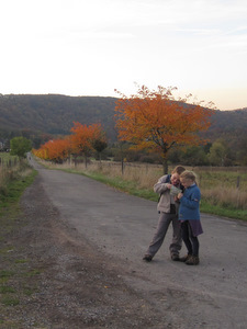 Promenade autour de Profondeville