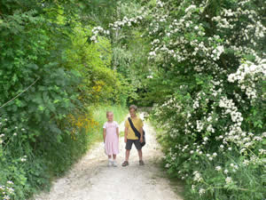 Promenade de Marsinne à Wanheriffe