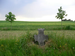 Promenade de Marsinne à Wanheriffe