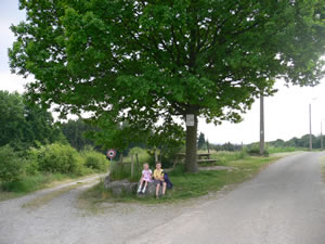 Promenade de Marsinne à Wanheriffe