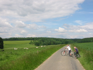 Paysage campagne Condroz