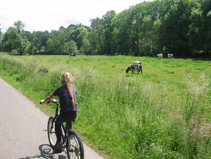 Paysage campagne Condroz