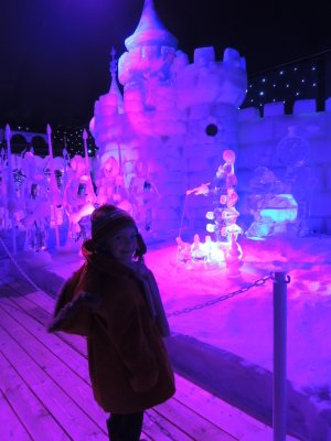 Sculptures de glace à Liège