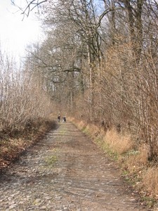 Promenade à Sorinne-la-Longue (Assesse)