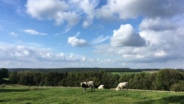 Promenade autour de Spontin