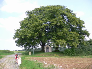 Promenade à Thon Samson