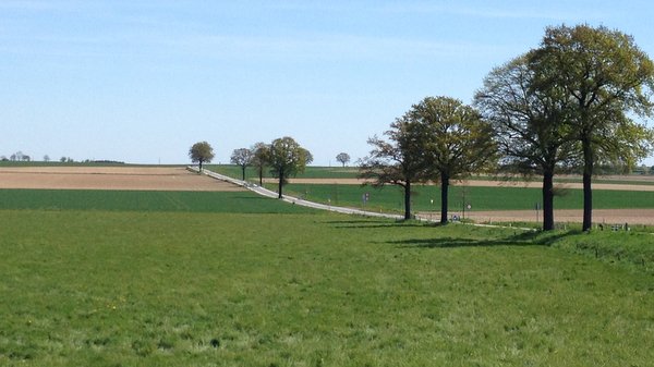 La Chaussée Romaine de Tongres à Bavay