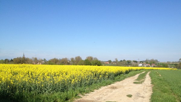 La Chaussée Romaine de Tongres à Bavay