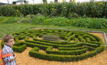 Reconstitution de petits labyrinthes