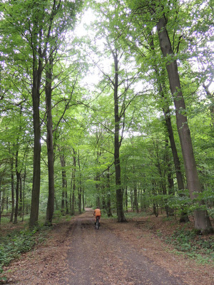 A vélo entre Hamois et Miécret