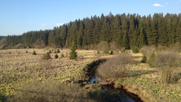 La Vennbahn ou RaVEL des Fagnes