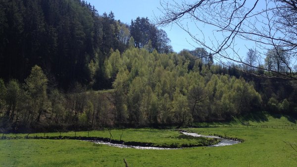 La Vennbahn ou RaVEL des Fagnes