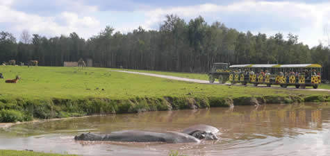 Monde Sauvage d'Aywaille